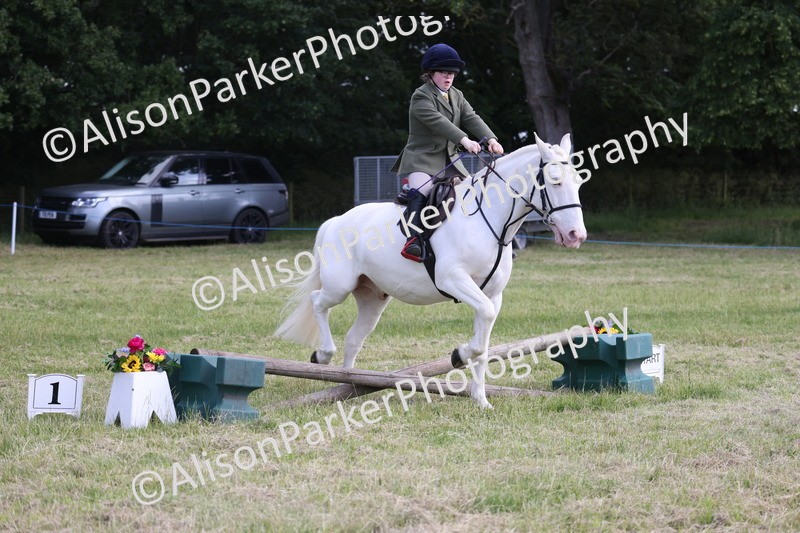 20260614-0767 - Class 20 - Beginners Working Hunter Pony