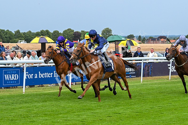 040725-Race 1-Golden Palace-3946 - Race 1