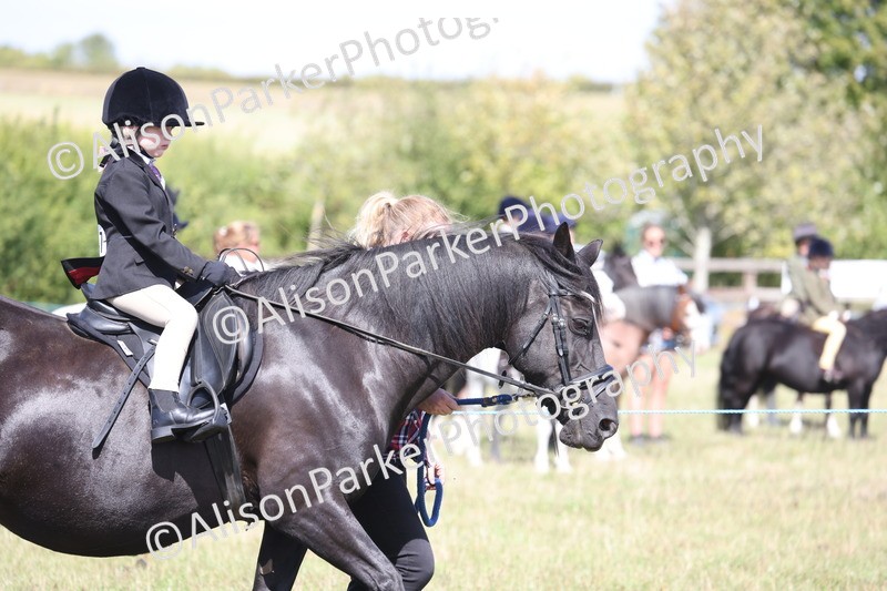 20260906-2744 - Class 25 - Absolute Beginners Pony