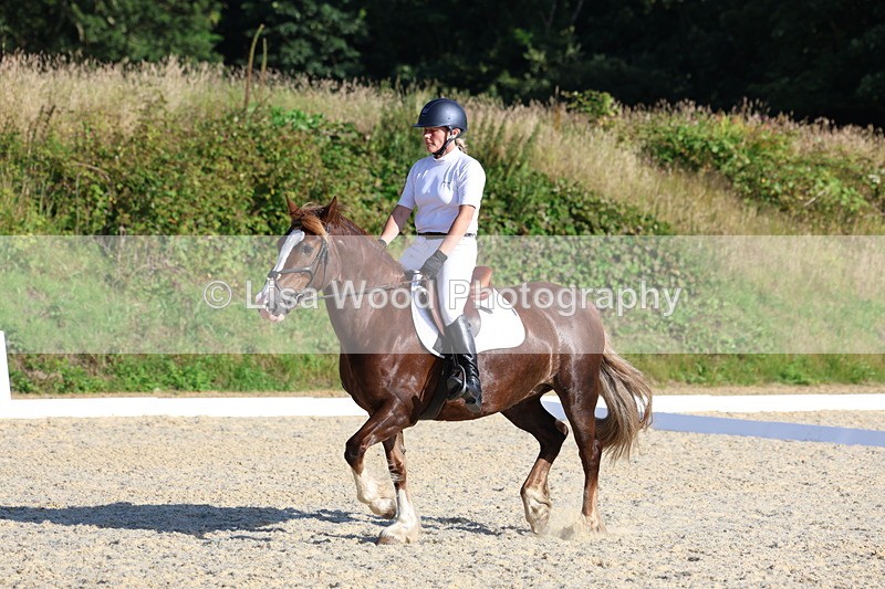 3E7A3664 - Class 2: Intro 1 2024 Section B