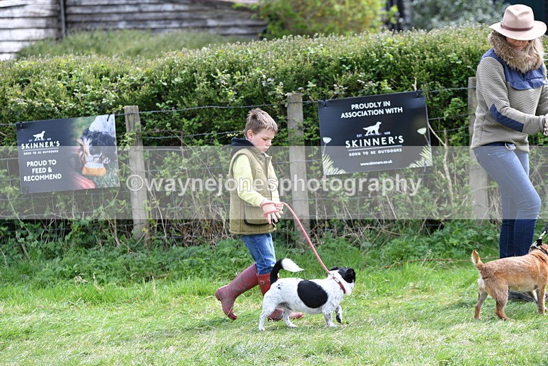 WJ5_0336 - Class 7 Best Terrier