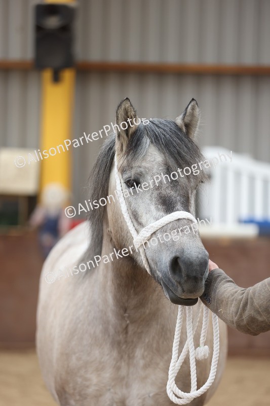 20251109-0927 - Class 26 - 2 and 4 Year Olds