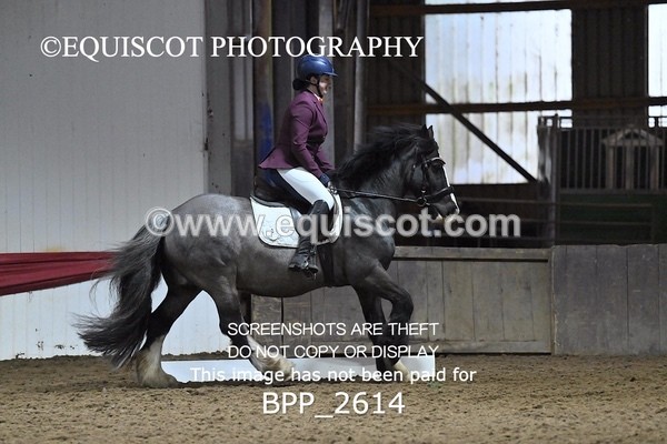 BPP_2614 - MFS PRELIM