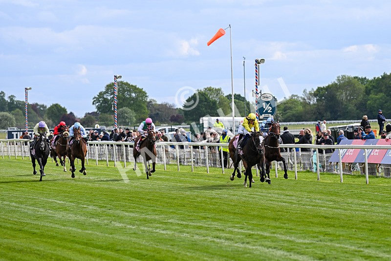 150526-Race 5-Rahiebb-8089 - Race 5 4.05pm Boodles Yorkshire Cup Stakes