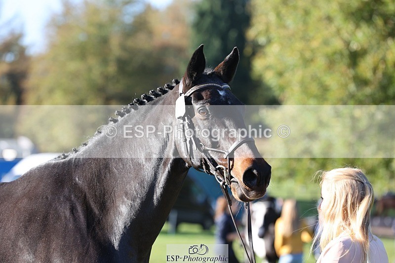 241027-095237-15555 - 372-Michelle.Newnham-LOUIS.HS