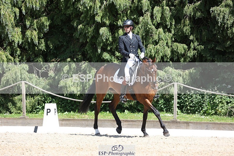 230526-140808-06458 - 371-JERPOINT_ECLIPSE-Max_Gordon-WEDTrotUp+DR