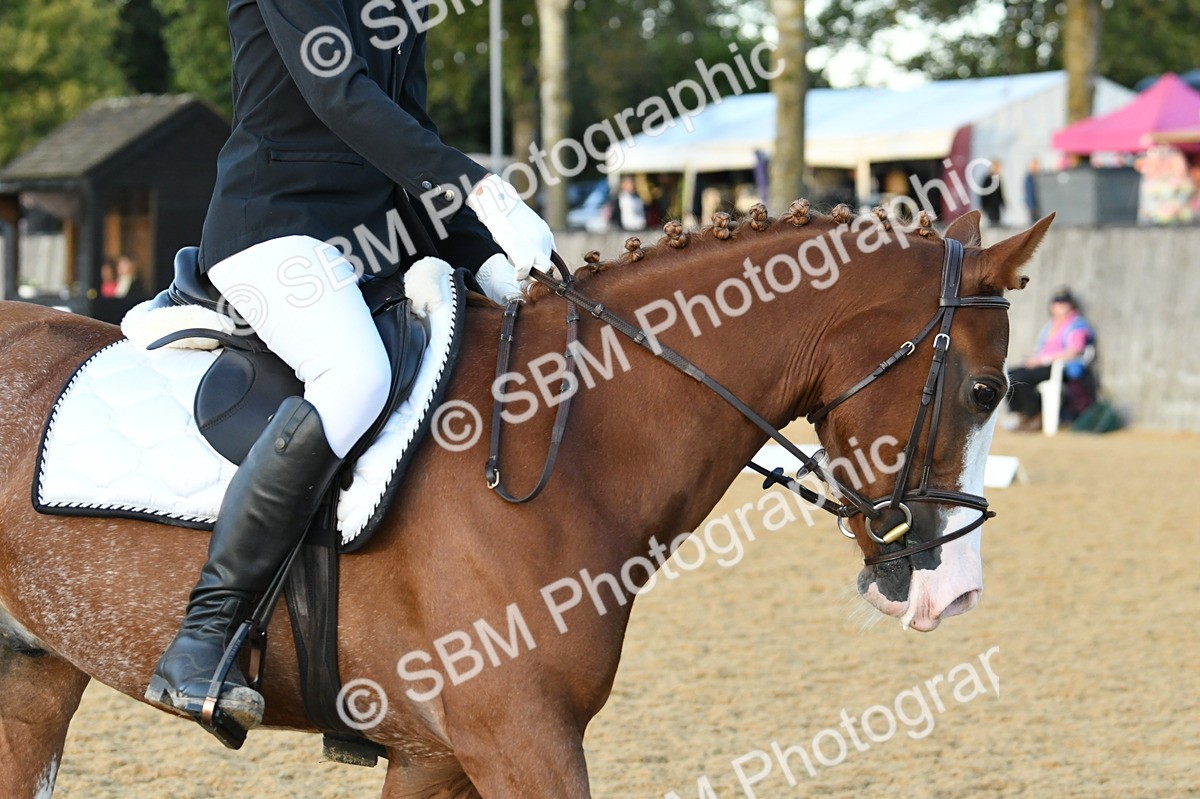 SBM_30993 - D16 - Small Tour Championship - Novice 28