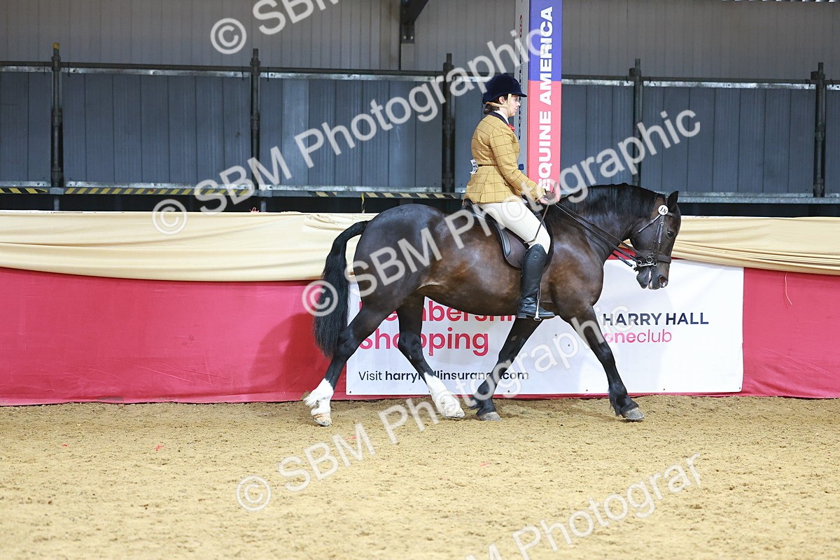 SBM_10522 - Class 103 - HOYS Veteran Qualifier - Ridden Pre Vet
