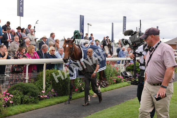 yr19082022r4-117 - Race 4 3.35pm Coolmore Wootton Bassett Nunthorpe Stakes (British Champion Series Race)