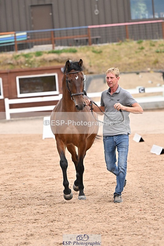 250716-151418-01808 - Trot Up 2.30 to 3.30