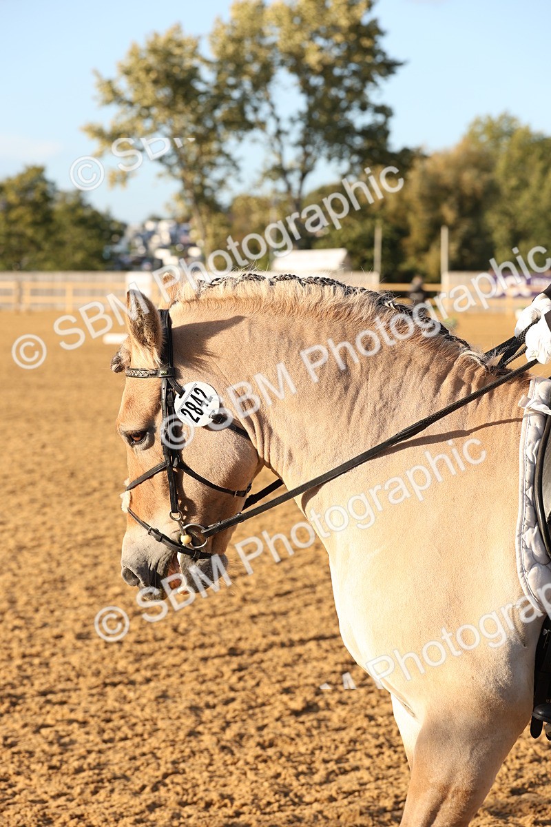 SBM_52890 - D12 - Small Tour Championship prelim 2