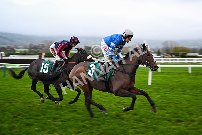 151125-Race 7-Divine Diva-4717 - Race 7