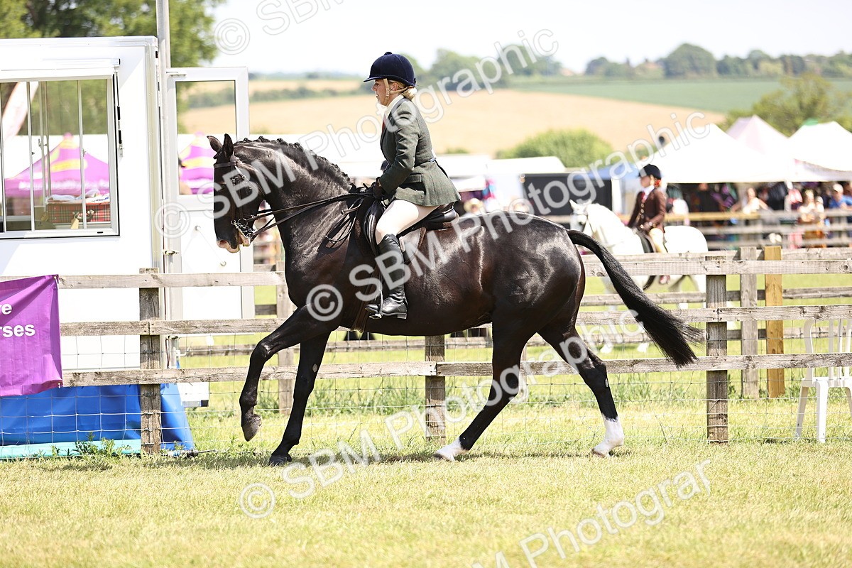 SBM_15092 - Class 79-80 - LIHS BSHA Rising Star Ridden Hunter