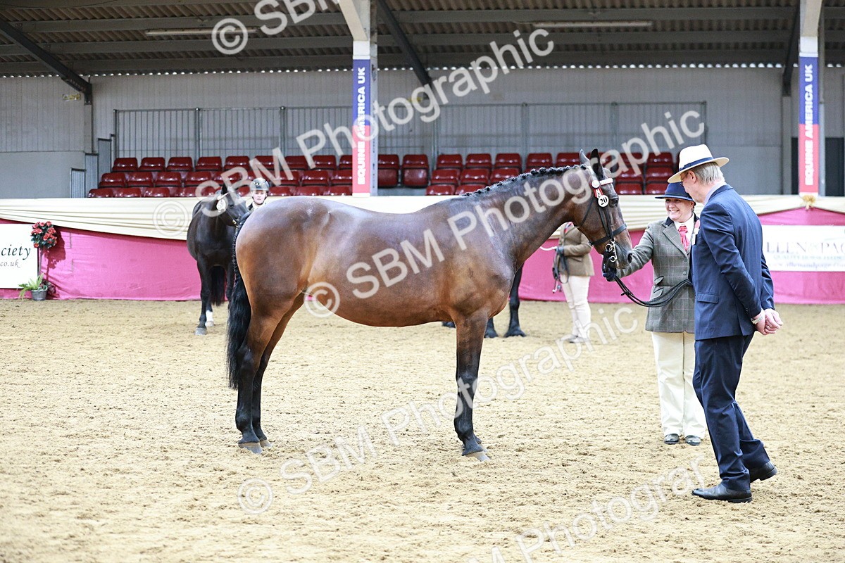 SBM_00917 - Class 2A - Area IH Veteran