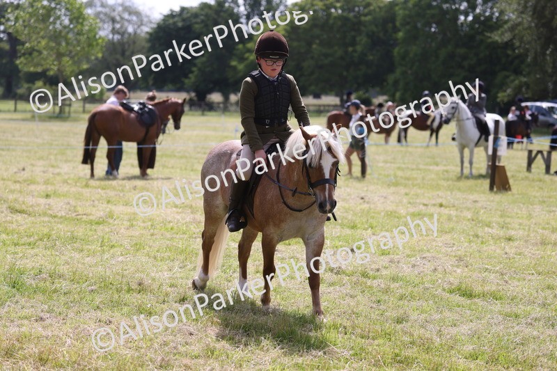 20260614-0758 - Class 20 - Beginners Working Hunter Pony