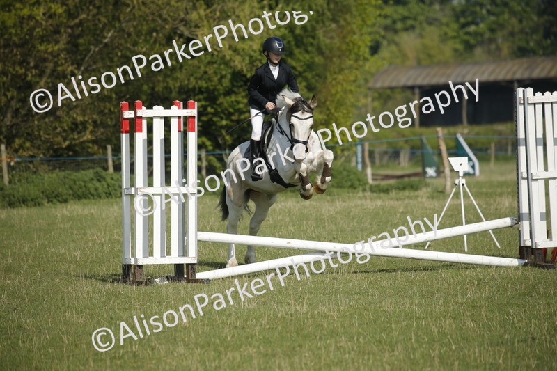 20250427-0307 - Class 12 - Rookie Jumping 40cm