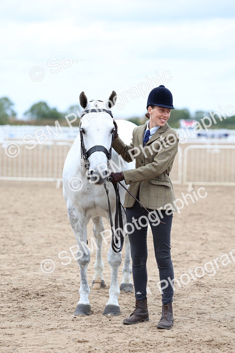 SBM_05785 - Class 28 - IH Veteran Horse