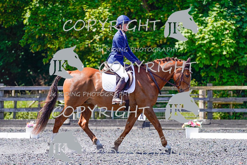 _DSC3686 - NOVICE 1