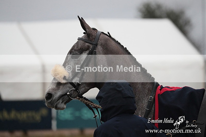PtP 260125 979 - Cocklebarrow Point-to-Point racing with the Heythrop Hunt 26/01/25