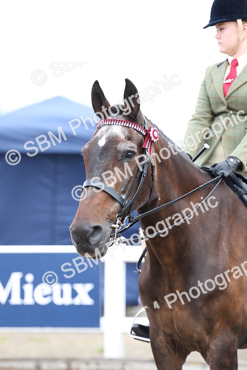 SBM_01427 - Class 51 - Best Turned Out Ridden