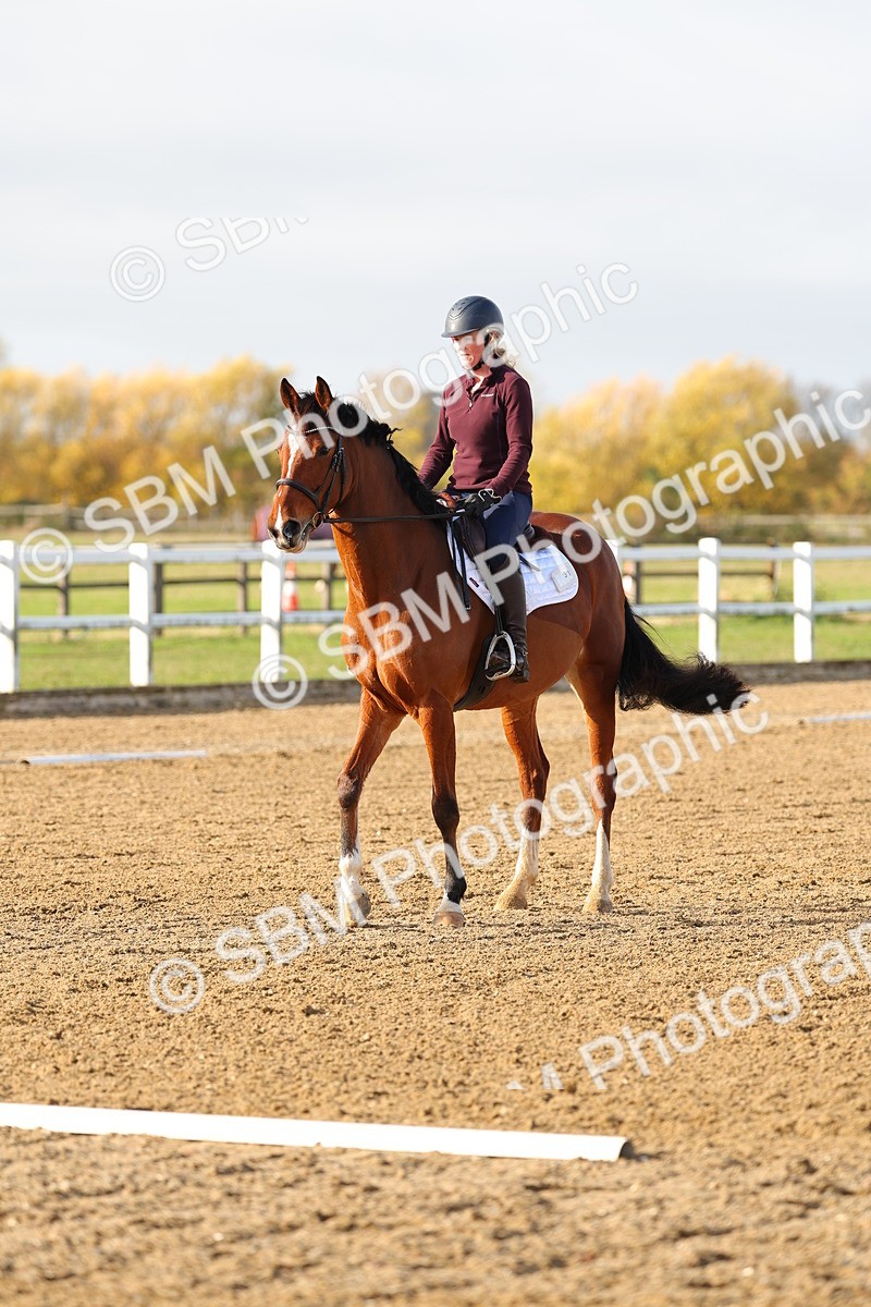 SBM_001157 - Class 13-4-9 - DR P3 CT P3 70cm CT PYO
