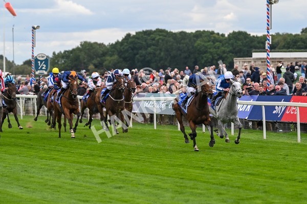 210825-Race 1-Royal Fixation-3581 - Race 1 1.50pm Sky Bet Lowther Stakes