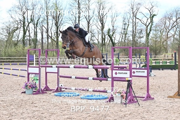 BPP_9477 - CLASS 5  1.15m Members Cup Qualifier/ 1.15m Open