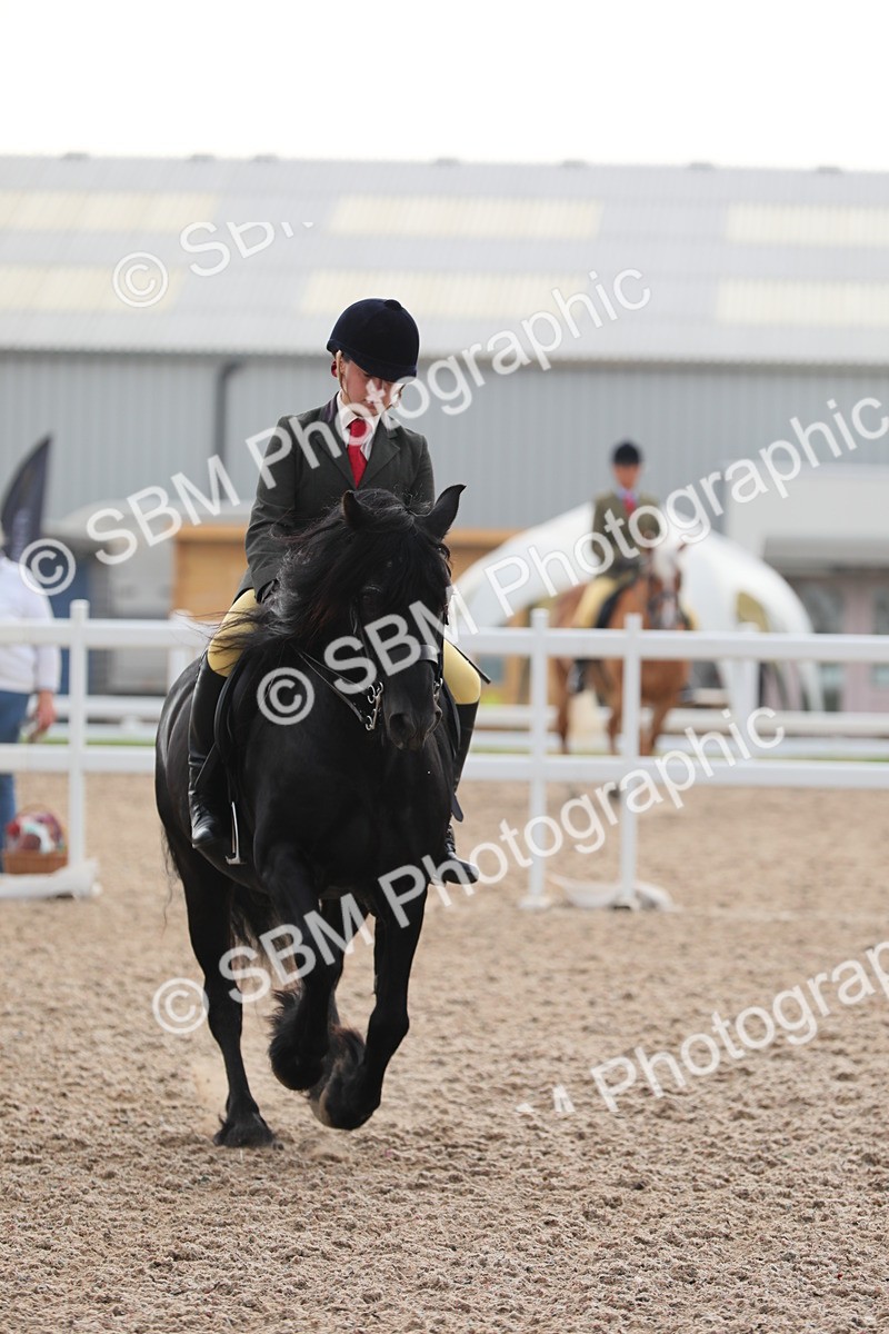 SBM_10042 - Class 302 Ridden M&M -Large Breeds