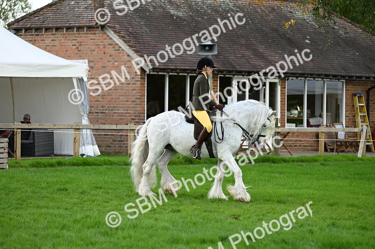 SBM_26552 - S7 - Novice & Newcomer Ridden Pony