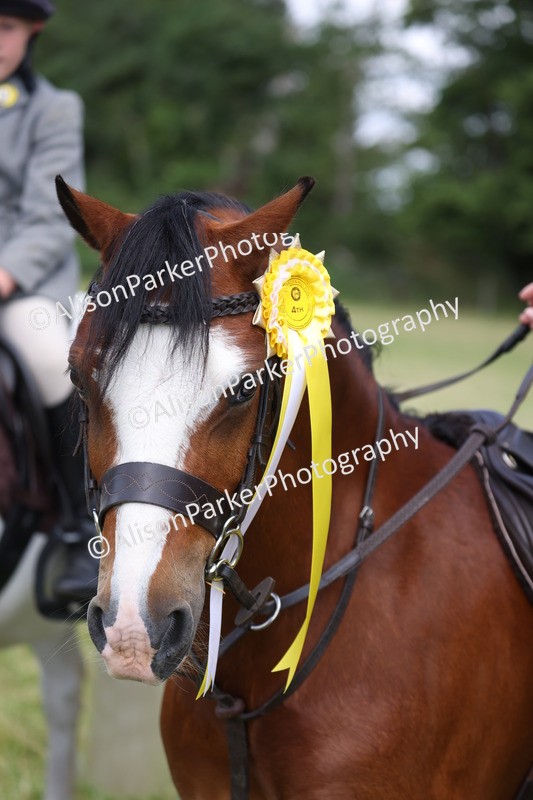 20260614-0830 - Class 20 - Beginners Working Hunter Pony