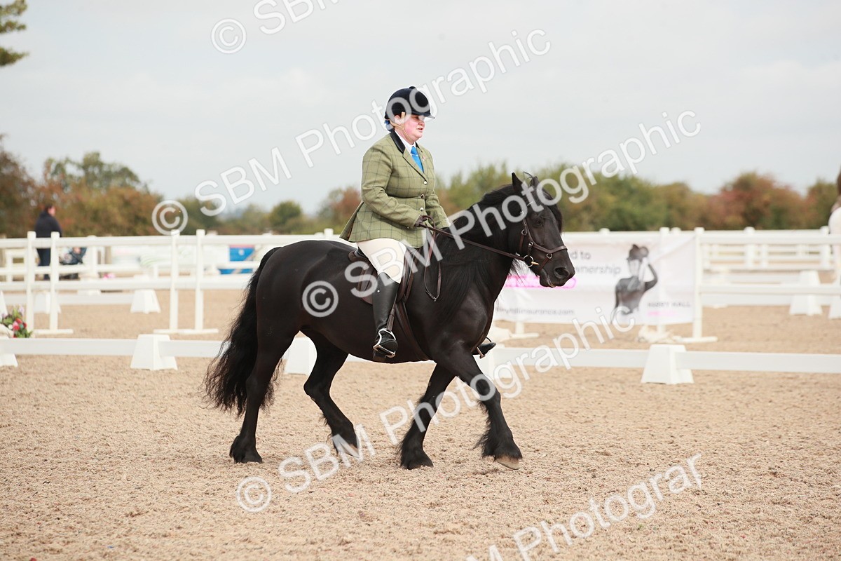 SBM_02539 - Class 30 - Intro 1