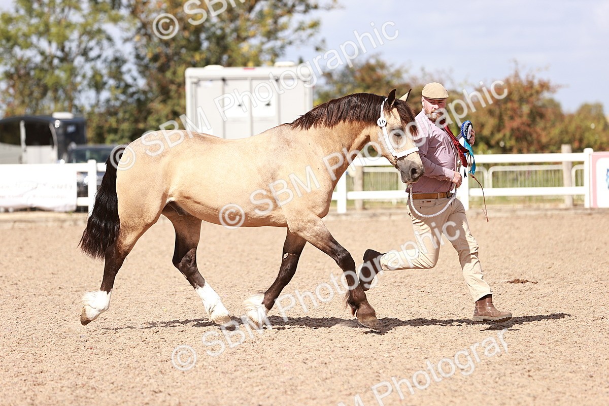 SBM_23030 - Class 707 - IH groom Helpers Class
