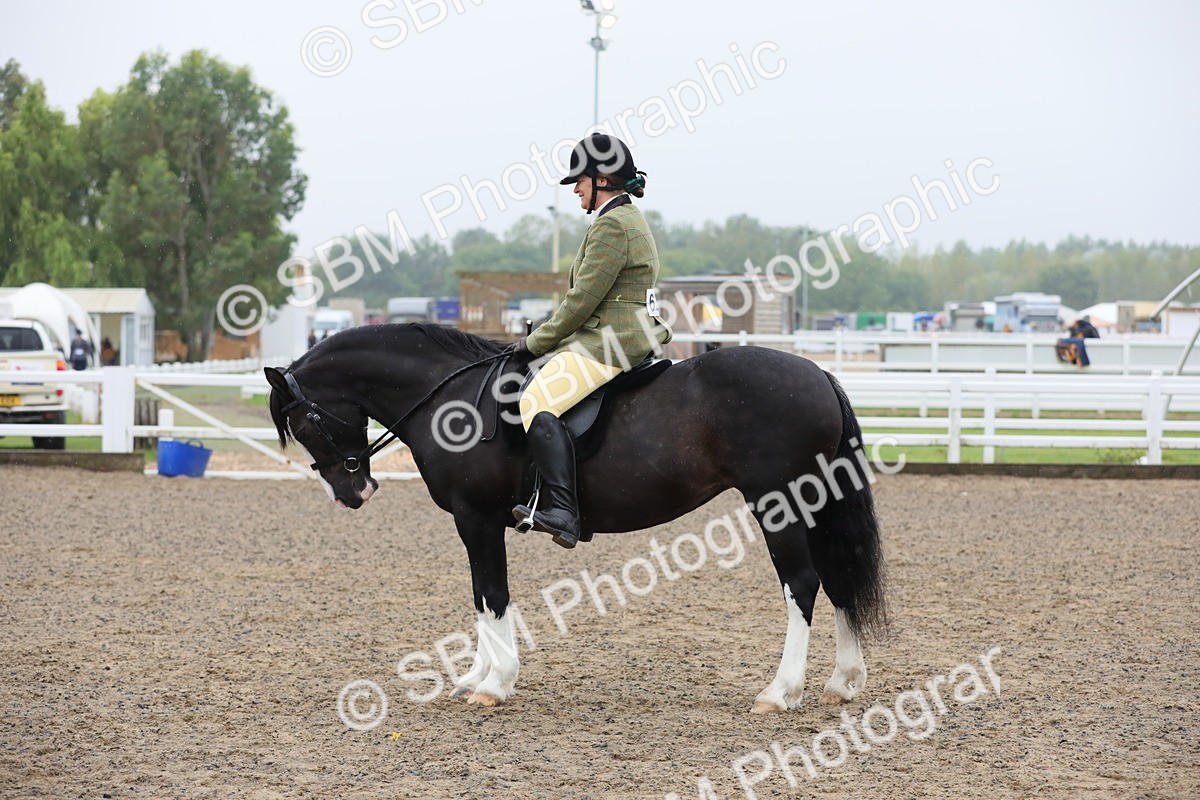 SBM_20062 - Class 802 - Ridden Groom - Helpers class