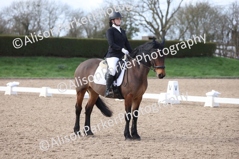 20260301-0831 - Class 5 - Elementary 4