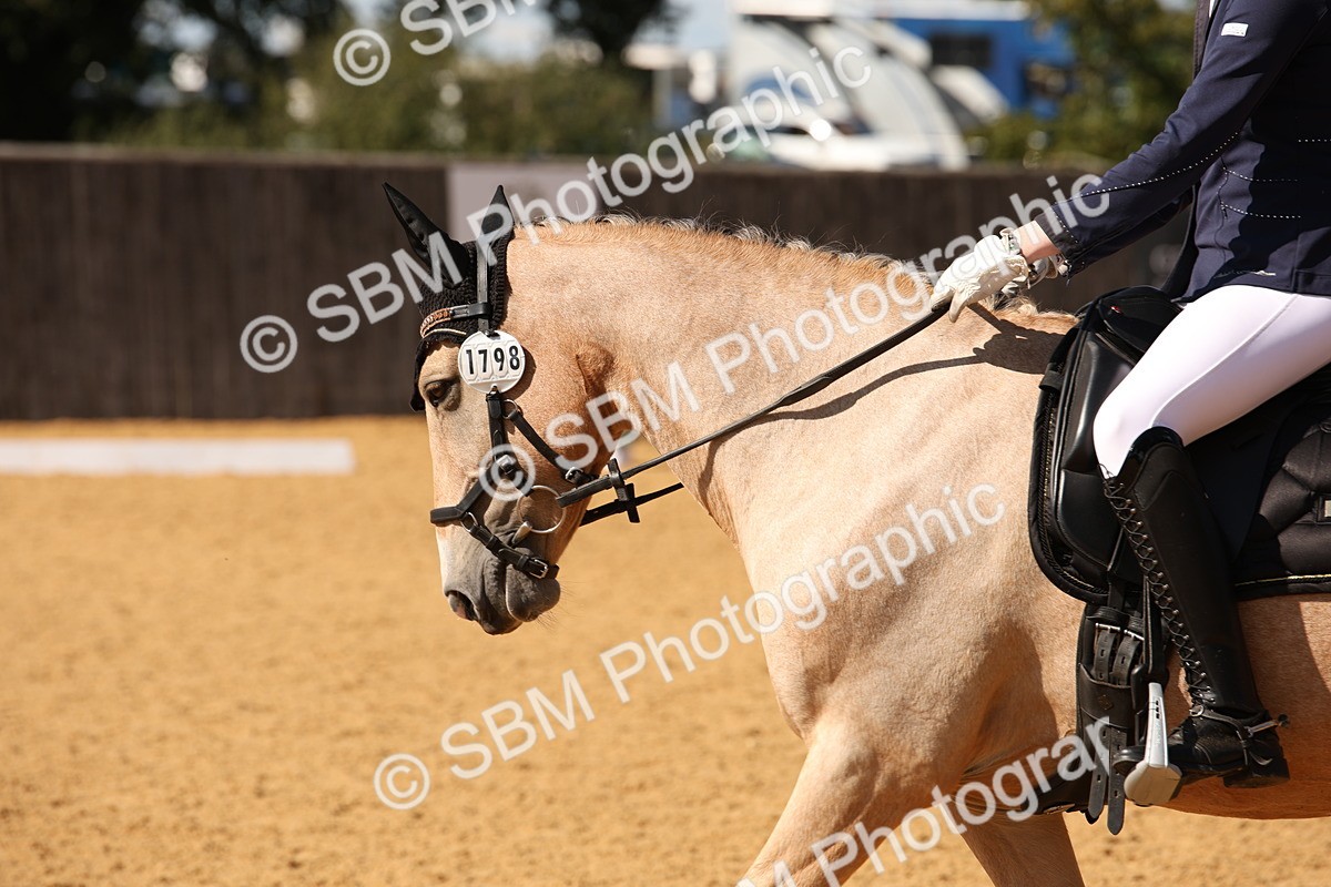 SBM_24154 - D5 - Small Tour Championship - Intro C