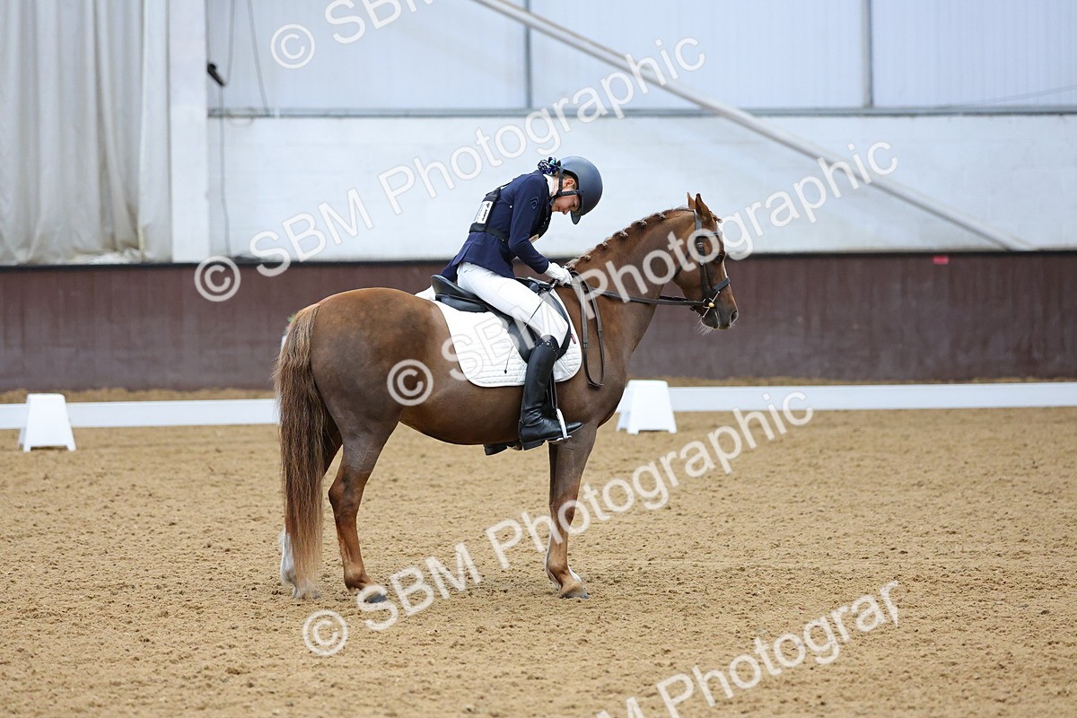SBM_003685 - Novice