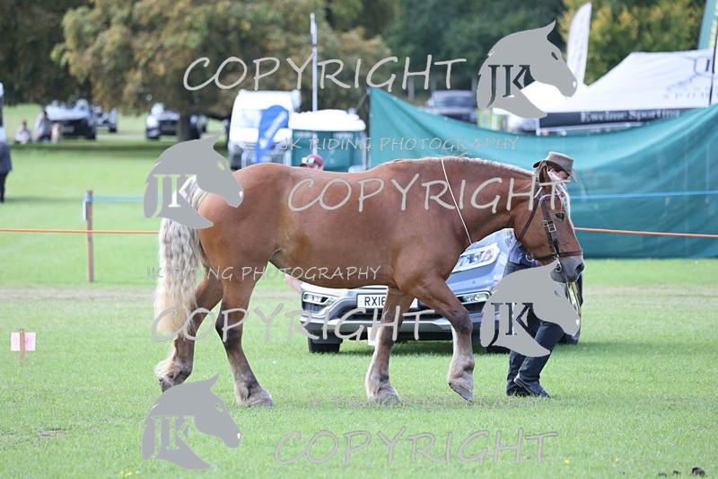 APP_3327 - Class 4 Veterans