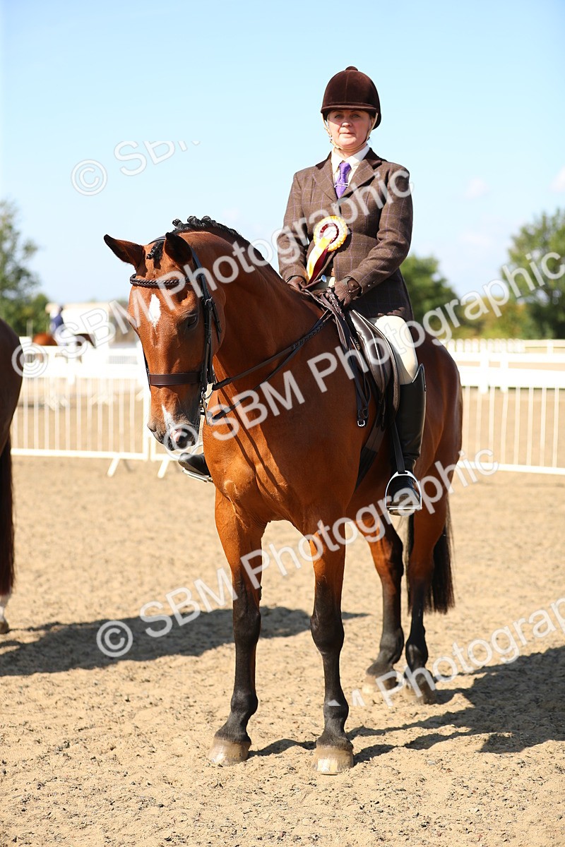 SBM_02381 - Class 43 Ridden Competition Horse/Pony