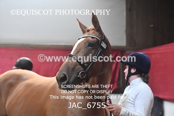 JAC_6755 - 15 Ziggy of Westoak