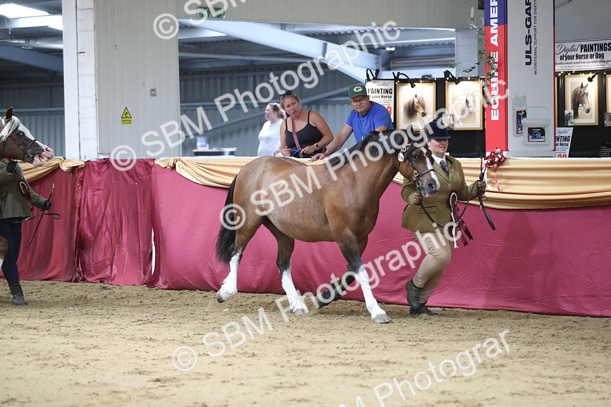 SBM_06494 - Class 9R Regional- IH Pre Vet