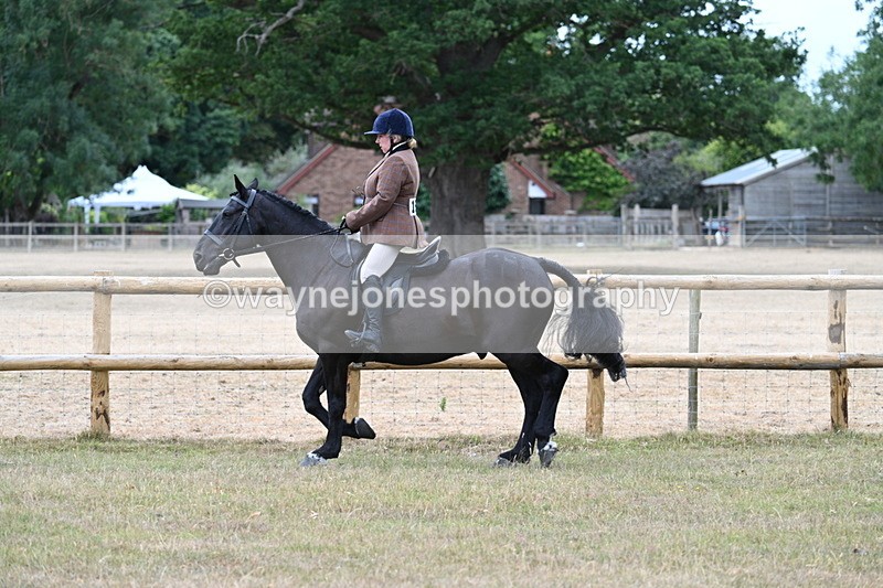 WJ7_7658 - Class 3 Family Mount