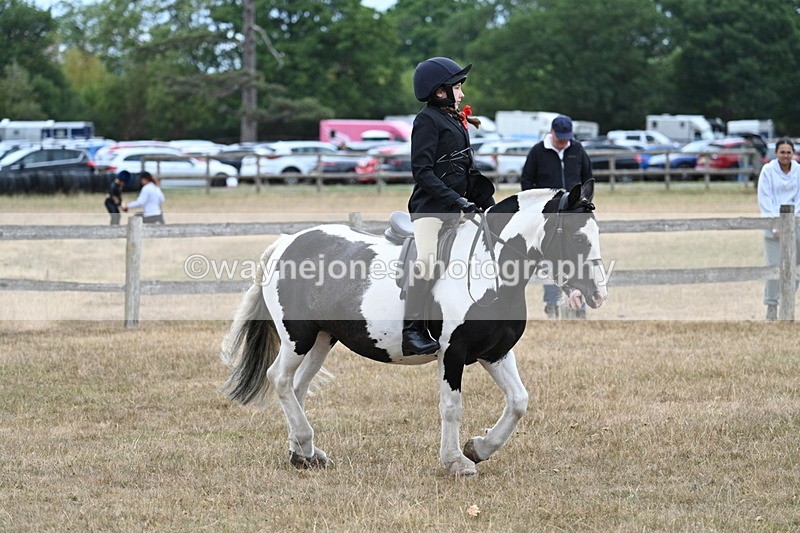 WJ7_7279 - Class 2 Best Rider