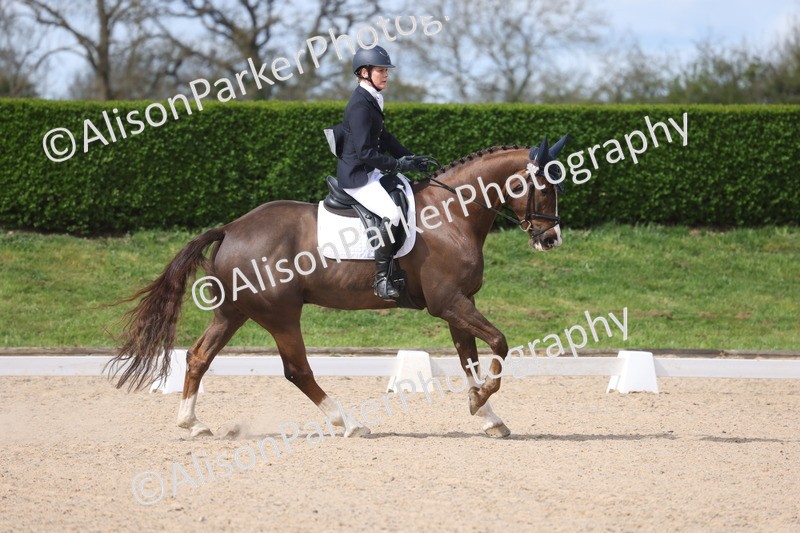 20260405-0282 - Class 3 - Novice 5