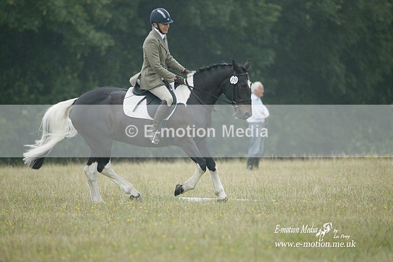 BVRC 030721 551 - Bourne Valley Riding Club Dressage 03/07/21