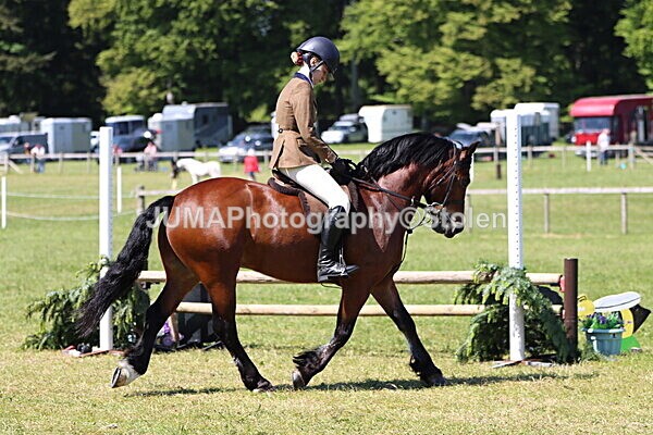 IMG_3903 - Working Hunter
