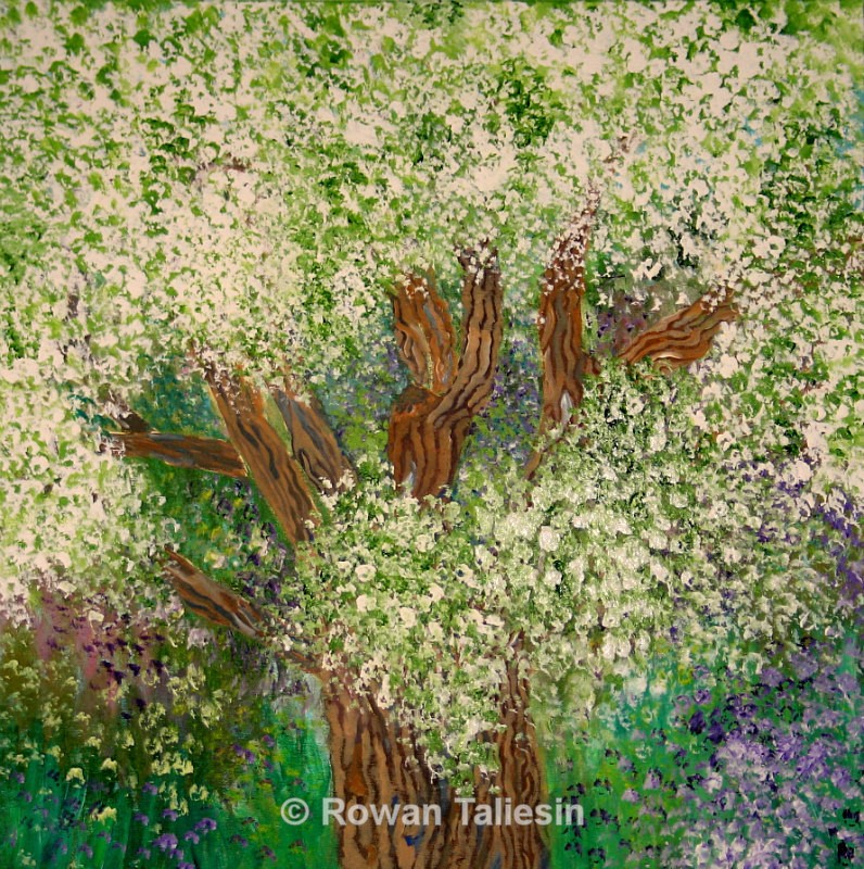 Pear Tree copyright Rowan Taliesin 2015 - PROJECT - Trees, Tales and Trails