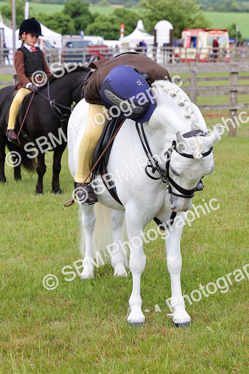 SBM_09636 - Class 44-45 - LIHS BSPS Open Nursery and Cradle Stakes