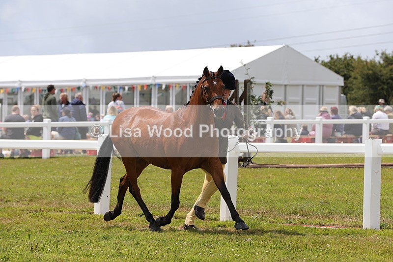 1X9A4721 - Class 35: Veteran In Hand