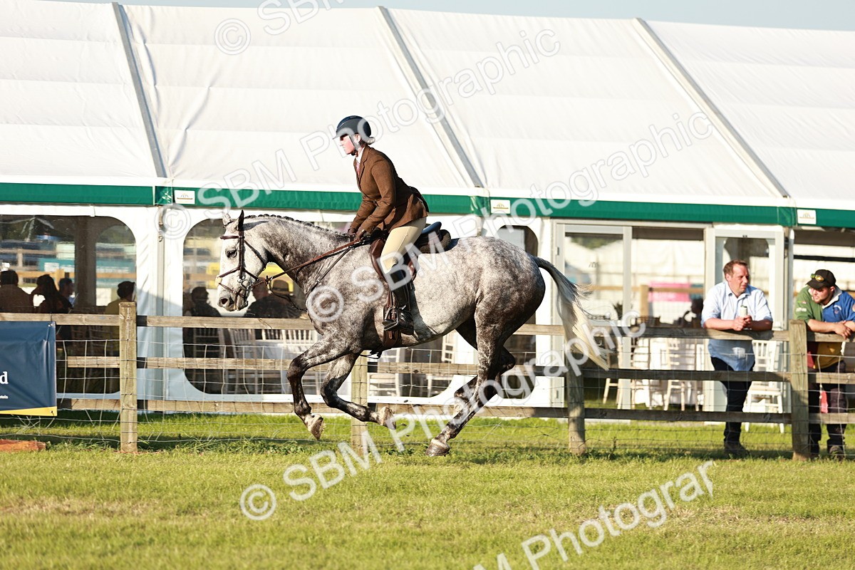 SBM_20489 - Class 117-119 - Sport Horse Working Hunter