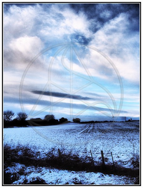 Cold_Wind_Blows - Everything Else